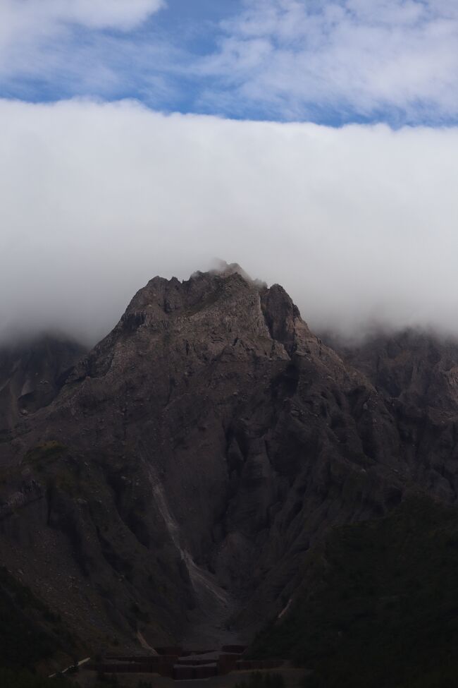 表紙の写真・桜島北岳山頂・遠望では厚い雲のに覆われていたのですが、展望台では奇跡に此の景色が見れました。<br /><br />桜島一周約36キロ。車で約1時間・自転車で約4時間・徒歩約9時間だそうです。調べる程に行きたい場所が見つかってしまった(^^;<br /><br />**指宿から鹿児島・城山ホテルに荷物を預け（直接、別行動した方がロスが無かった）私は桜島に渡りたいと思って、フェリー乗り場に送ってもらった。<br /><br />夫は歴史好きなので、車で鹿児島市内巡り。<br />「仙厳園」「尚古集成館」「「維新のふるさと館」「西郷南洲顕彰舘」「石橋記念館」などいったようです。<br />私は「仙厳園」だけは行きたかったけど、行けませんでした。<br /><br />**事前に調べたのですが無理だった事を、メモで残しておきます。<br />大隅半島と鹿児島を結ぶ玄関口「垂水湾」へ桜島をじっくり眺めながら40分で行けるし、車なら国道220号線通っているんですね。<br /><br />☆☆桜島・桜島というだけで知識も無くて、今回「御岳（北岳）1117m・中岳1060m・南岳1040m」あって、南岳から1779年に『安永溶岩』が流れている。これは、今、古里公園近くの海岸まで流れ込んでいる。<br />それと『安永溶岩・1779年』は北東方面にも流れている。<br /><br />現在の北東地区・浦東前港は『文明溶岩・1472年」が流れ込み、横は『1779年安永溶岩』が流れこんでいる。<br /><br />そして、南岳近くに『昭和火口』があり、此処は1946年に昭和溶岩が、現在の有村海岸まで流れ込んでいるし、現在の黒神地区辺りまで流れ、ここには「黒神埋没鳥居」がある。<br /><br />更に1914年の『大正溶岩』に覆われているのは、現在の有村海岸から、離接する垂水側方面一帯なんですね（南東方面）<br /><br />そして、桜島フェリー乗り場辺りの西側は、現在の湯之平展望台辺りにかけて『1914年・大正溶岩』が流れ込んでいる。<br /><br />ド～ンと存在する桜島の噴火歴史を勉強出来ました。<br />