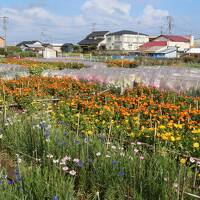 2021勝浦・鴨川・白浜・館山の旅