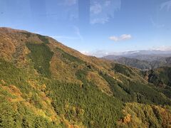 紅葉の空中散歩