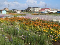 2021勝浦・鴨川・白浜・館山の旅