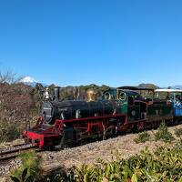 紅葉の伊豆修善寺 虹の郷 日本唯一のナローゲージ ロムニー鉄道 修善寺温泉日帰り入浴 筥湯 