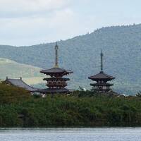 シェアサイクルとレンタカーで回る奈良の旅　　DAY１（薬師寺・唐招提寺・平城宮跡）　