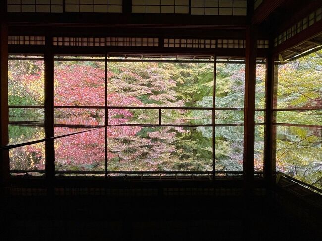 姪っ子が「じいじとばあばとmilkちゃんで京都に行きたい」と言い出したので、急遽京都旅行を計画。<br />姪と私は平日の方が都合が良いのですが、じいじは平日がっつり仕事なので休むのは難しいと。<br /><br />ならばじいじはお留守番ね&#12316;(≧∀≦)<br />正直、父が一緒だと行きたいところに全く行かれなくなるのでその方が助かる(笑)<br /><br />当初、月火水で2泊3日の予定でしたが、姪っ子が水曜日に休めなくなり、母と2人で日曜日から言ってもらう事に。<br />私は日曜日の仕事が休めないので、仕事が終わってから夜行バスで向かいました。<br /><br />紅葉ベストシーズンの京都はもうもの凄い混雑だろうと予想して、あえて少し早めの日程に。<br />紅葉が早かったらラッキーくらいのつもりです。<br /><br />さて、今年の紅葉はどうかな？<br /><br />