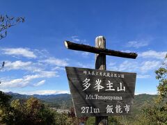 飯能ハイキング～天覧山・多峯主山・巾着田