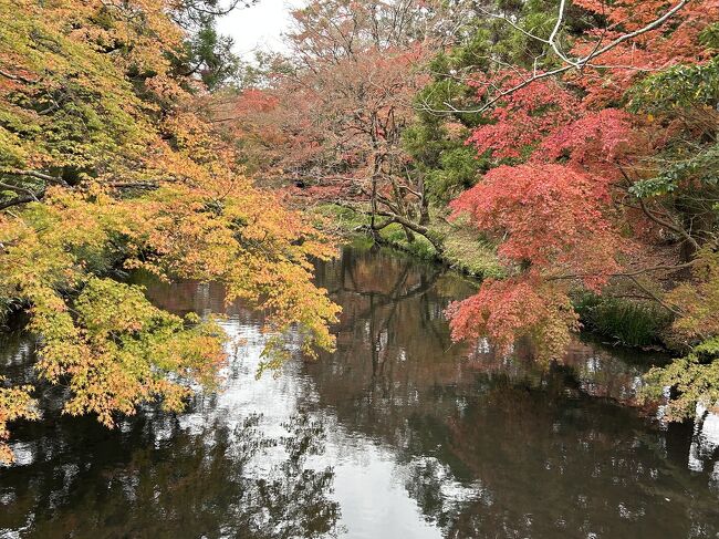 今年は夏が長く秋はほぼ無くて､急に寒くなった…<br />先週東京ので実家に母親介護関係で行ったが､東京も寒かった…<br />エアアジアが安かったので､福岡行きを取って居た。<br />私は過去に湯布院には来ているが､夫は初めて…<br /><br />逆に夫は別府に来ているが私は初めてと言う､それぞれの経験上の旅になった。<br /><br />過去の湯布院旅行記　https://4travel.jp/travelogue/10838791