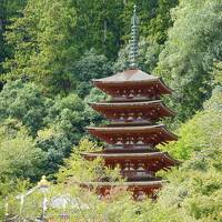 シェアサイクルとレンタカーで回る奈良の旅　　DAY２（長谷寺・室生寺・談山神社）