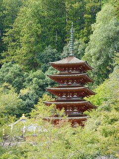 シェアサイクルとレンタカーで回る奈良の旅　　DAY２（長谷寺・室生寺・談山神社）