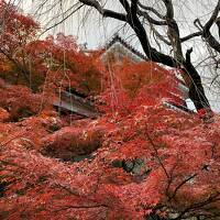 2023年11月　信州上田・真田巡り旅２　芳泉寺・上田城跡公園・藩主屋敷跡