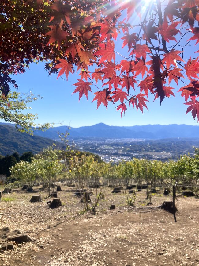 秋のドライブ登山は長瀞へ。<br />朝5時半起きで渋滞を避け、ゆっくり日帰り旅行へ。<br />天気も気温も丁度良い１日でした！！