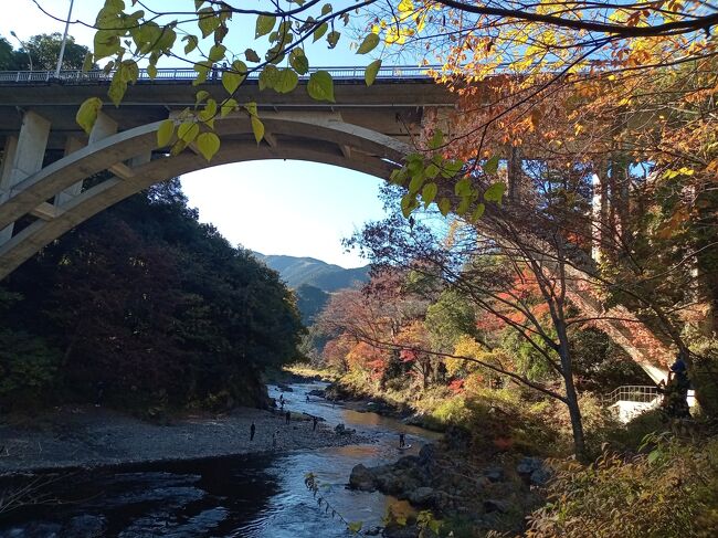 この日は絶好の晴天の上に無風で暖かい日なので、前日の秩父神社に引き続き、紅葉のピーク状態にある御岳に行きました。<br />当初は御岳山の紅葉を見に行くつもりでしたが駐車場待ちで渋滞。しかも駐車料金が高額なので断念して、御岳渓谷の紅葉を楽しみました。雲一つない青空の下、御岳渓谷の川、紅葉は絶句する穂と美しかったです。<br /><br />---------------------------------------------------------------<br />スケジュール<br /><br />★11月19日　自宅－（自家用車）御岳渓谷－鳩ノ巣渓谷－自宅