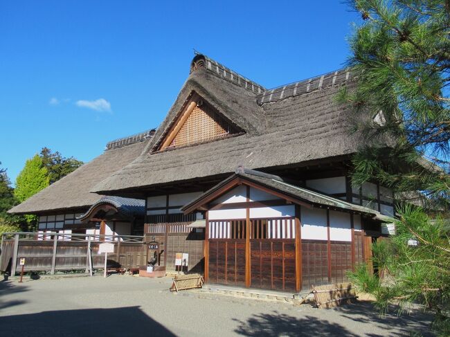 栃木の旅② 黄葉&#127809;映える足利の街巡り ＆ ご当地グルメ食べ歩記（続編）