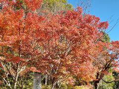 秋の京都ROKUで過ごす