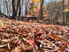 紅葉の低山ハイキング&ウォーキング