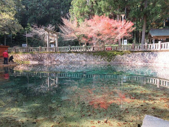 山口、福岡の旅<br />山口は県の西部、福岡は北九州市 　関門海峡の両側を巡る旅です。<br />クリスマスまであと1か月、各地でイルミネーションが飾られ、きれいな街並みが見られます。<br /><br />1日目　自宅→三原　 <br />          (泊）ＡＺ広島三原店<br />2日目　三原→秋吉台→元乃隅稲成神社→角島→福徳稲荷→下関　　　　　　　　　<br />          (泊）下関ステーションホテル<br />3日目　下関→唐戸市場→壇ノ浦→関門トンネル→旦過市場→小倉城　　　　 <br />          (泊）ホテル１－２－３小倉<br />4日目　小倉→門司港レトロ<br />          (泊）プレミアホテル門司港<br />5日目　門司港→錦帯橋→自宅