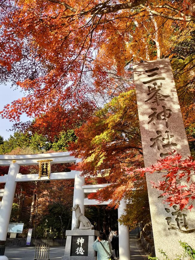 紅葉を見に秩父、三峯（みつみね）神社へ。帰りには、おいしい新そばを堪能。キレイな景色とおいしい食事に癒されました。