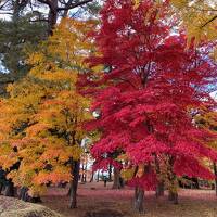 21函館　2日連続紅葉の香雪園へ行く