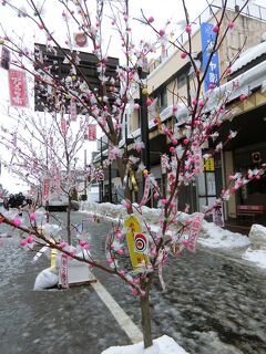 冬の秋田が楽しい～!３つの冬まつり。大館アメッコ市へ③