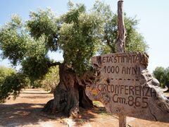 ★夏のBasilicata＆Puglia レンタカーの旅★ 