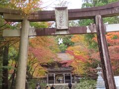 ２０２３年【大矢田寺の紅葉】