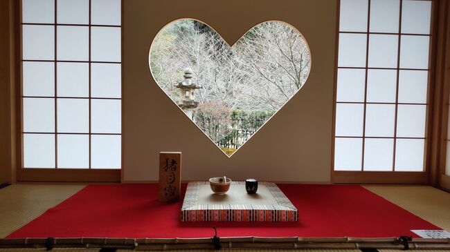 藤井聡太で話題になったくま最中と正寿院のハート窓を求めて京都に行ってきました
