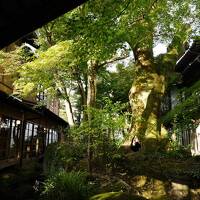 葛城山からの展望と修善寺温泉の名旅館