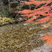 秋の上高地～白川郷～飛騨高山　女子旅