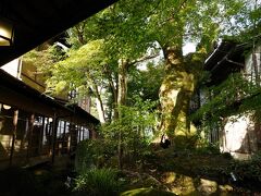 葛城山からの展望と修善寺温泉の名旅館