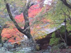 「なのにあなたは京都へゆくの♪」、奈良も行きました