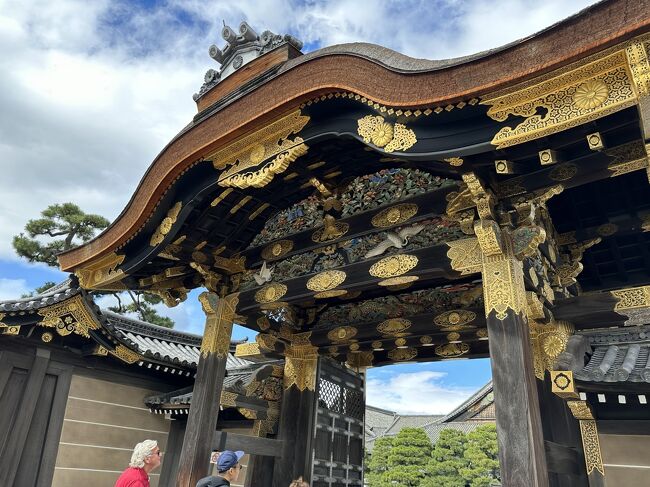 最終日は、自由行動ということでもあり、しかし土曜日の京都市内の混雑は、観光復活で、想像に絶するとのこと。4時間の観光タクシ－が利用できたこと。Chat gptの助けも借り、市内で行きたい寺院を列挙して、インプットすることで、7つの寺院がリスト化された。それをドライバ－に渡したところ、大丈夫でしょうと言ってくれた。15分の超過であったが、運よくすべてを見学できた。ホテル～三十三間堂～知恩院～八坂神社～平安神宮～二条城～ホテルのル－トである。駐車場が少ないので、我々を下ろし、駐車場に車を入れ、我々を追いかけて、合流して説明をしてくれた。もちろん駐車場、入場料は、我々が払いました。こんな冒険も、ドライバー任せではなく、Chat gptのテストもできたので、最高でした。多くの寺院は、内部は写真撮影禁止となっており、それが残念でした。【15,432歩】