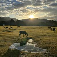 空が広い！奈良で日の出散策に感動