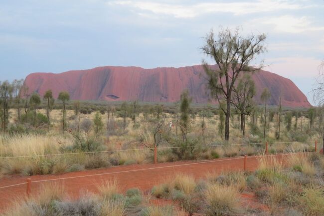 阪急交通社の「４つの世界遺産を巡る　シドニー・ウルル７日間」というツアーでオーストラリアに出かけてきました。<br />１日目は、羽田からシドニーに向かい。２日目はシドニー市内観光、３日目はブルーマウンテン観光、４日目は、シドニーからウルルへ移動、５日目はウルル観光、６日目はウルルからシドニー経由で羽田に向かい、７日目の早朝羽田へ帰国という実質５日間のスケジュールでした。<br /><br />具体的な日程は以下のとおりです。<br />１１月３日（金）　　羽田　⇒　<br />１１月４日（土）　　シドニー　（市内観光）オペラハウス、ハーバーブリッジ、ハイドパークバラックス、セントメアリー大聖堂、ミセスマッコーリーズ岬<br />１１月５日（日）　　シドニー　⇒　ブルーマウンテンズ国立公園　⇒　ルーラの街　⇒　フェザーデールワイルドライフパーク　⇒　シドニー<br />１１月６日（月）　　シドニー　⇒　エアーズロック<br />１１月７日（火）　　ウルル（エアーズロック、カタジュタ）観光<br />１１月８日（水）　　エアーズロック　⇒　シドニー<br />１１月９日（木）　　⇒　羽田<br /><br />