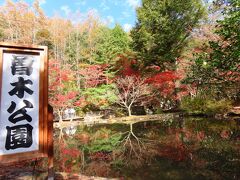 2023年土岐【曽木公園】の紅葉