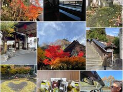 2023年11月　山形かみのやま温泉☆古窯へ紅葉ドライブ旅