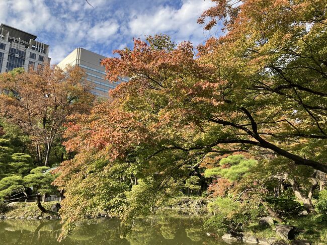 11月中旬。紅葉が綺麗だろうと思い、日比谷エリアの公園に行ってみました。<br />まずは東京駅でランチを食べてから、午後のお散歩スタートです。<br />皇居外苑をゆっくり散歩した後は、国会前庭へ。そして日比谷公園でゴールしました。