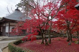 滋賀訪問2022③(湖東屈指の紅葉の名所：東近江市・永源寺、八日市駅近江鉄道ミュージアム)