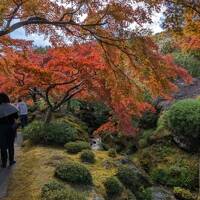 箱根～鎌倉～横浜の神奈川王道の旅