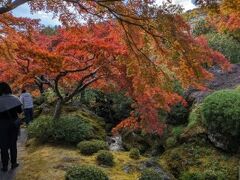 箱根～鎌倉～横浜の神奈川王道の旅