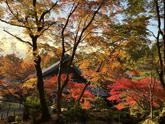 湖東三山の紅葉となばなの里（滋賀県）