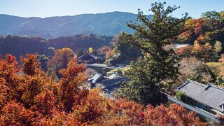 【長谷寺＆津】御朱印と紅葉を求めて 日帰り神社仏閣巡り：長谷寺編