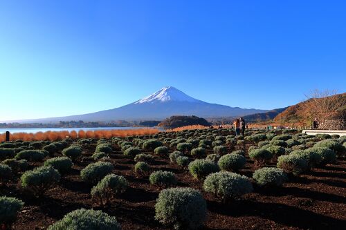 富士山　河口湖町　大石公園　「雲間の富士山」 河口湖・大石公園の富士山写真スポット、行き方・駐車場 - まつ