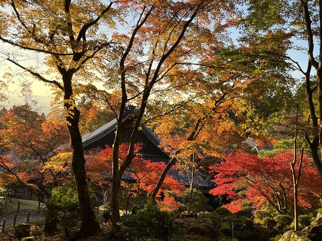 　天気の良い日に、昼から湖東三山の紅葉を見に出かけました。帰りに、なばなの里のイルミネーションを見に行きます。<br /><br />　自宅　→　湖東三山スマートIC　→　西明寺　→　金剛輪寺　→　百済寺　→　国道421号　→　なばなの里　→　湾岸長嶋IC　→　自宅