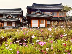 秋は天高馬肥♪歩き回って食べ倒す錦秋”ソウル”一人旅（後編）