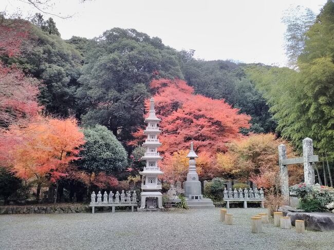 我が家の菩提寺・両子寺の紅葉が一番の見ごろを迎えたので参拝し観て来ました。<br />辺り一面の山も紅葉が進みとても良い景色を堪能することが出来ました。