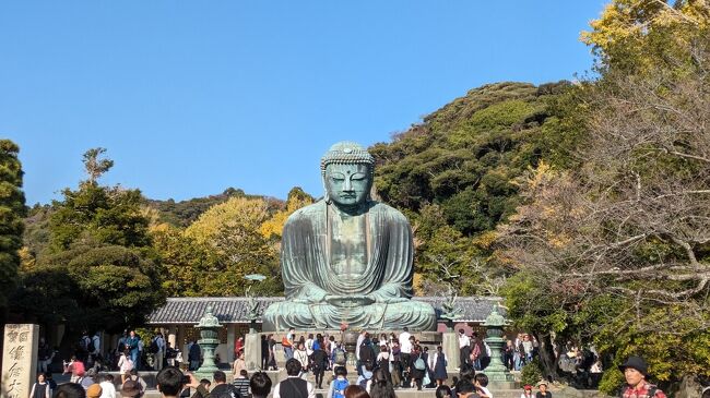 2023年11月下旬のに鎌倉の大仏、由比ヶ浜を観光。<br /><br />この日は、高徳院で鎌倉大仏、その後、御霊神社、由比ヶ浜を観光します。その前に鎌倉のカレーのお店「ZUSHI-CURRY」でランチを楽しみます。