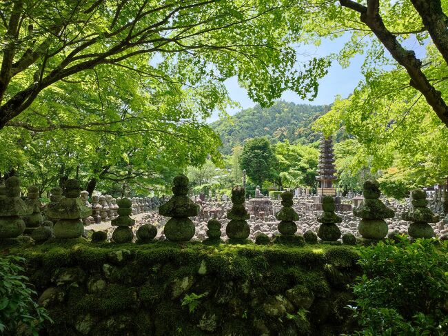 海外からの旅行客を制限していた去年の５月、京都へ4泊5日の旅に行っておりました。<br /><br />国内の旅行者は復活し始めていて、祇園の辺りは修学旅行生でごった返していたものの、その他の観光スポットは激空きで、まあ見やすいというか、京都らしい京都を堪能できました。<br /><br />今（2023年11月）、オーバーツーリズムのニュースを見るたびに、観光業者さんには良かったねと思う一方で、個人的には「もう京都行けねーじゃん」という残念な気持ちでいっぱいでございます。<br /><br />5日間もいたとはいえ、写真はあまり撮っていないのですが、とりあえず、観光客が少なかった京都ってどんな感じか残すことにしました。<br /><br />桜や紅葉の季節が人気ですが、5月の京都は緑が大変美しく、気候も厳しくないのでお勧めの季節です。<br /><br /><br />日程<br />１日目　羽田→伊丹空港　伊丹→京都（空港リムジンバス）<br />　　　　二条城観光。<br />２日目　嵐山、奥嵯峨、化野念仏寺、祇王寺観光。<br />３日目　大原三千院、寂光院、石塀小路、高台寺観光。<br />４日目　晴明神社、上賀茂神社、錦市場、先斗町観光。<br />５日目　三十三間堂観光。伊丹から羽田へ。