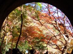 ハイキング・登山