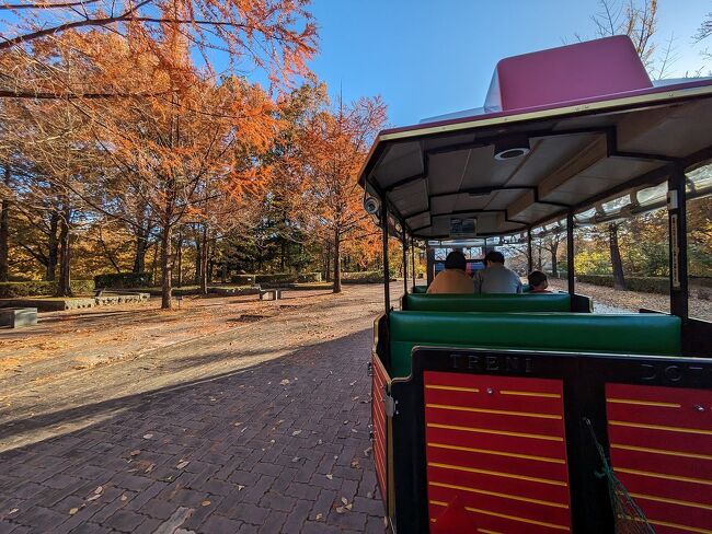 　西武鉄道の株主乗車券を消費するため、紅葉の秩父に行ってきました。駅から路線バスで秩父ミューズパークへ。園内ではスカイトレインに乗って紅葉鑑賞、徒歩で秩父市内まで戻り、秩父神社を参拝してから登録有形文化財のレトロ食堂、パリー食堂で早めの夕食をとって、最後に西武の株主優待が使える西武秩父駅前温泉「祭の湯」に入って帰りました。