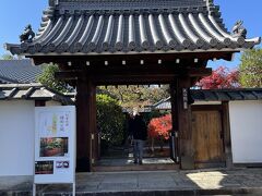 秋の京都2023②(2023.11.26)期間限定大法院の紅葉と銀杏の木