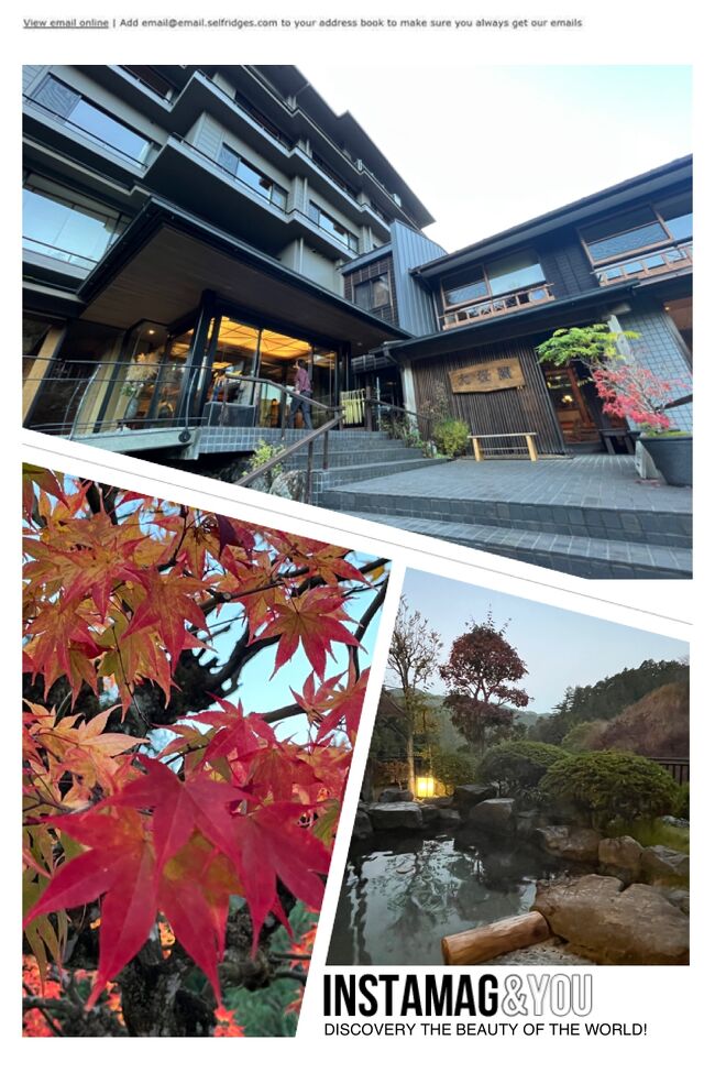 お気に入りの都心から遠くない隠れ家的温泉宿 名栗温泉の『大松閣』に、４年ぶりに行ってきました。ちょうど紅葉の時期で、森林浴をしながら紅葉狩りも楽しみました。<br />https://www.taishoukaku.com/<br /><br />１回目（2015年9月）<br />https://4travel.jp/travelogue/11063871<br /><br />２回目（2016年4月）<br />https://4travel.jp/travelogue/11123525<br /><br />３回目（2019年8月）<br />https://4travel.jp/travelogue/11532399