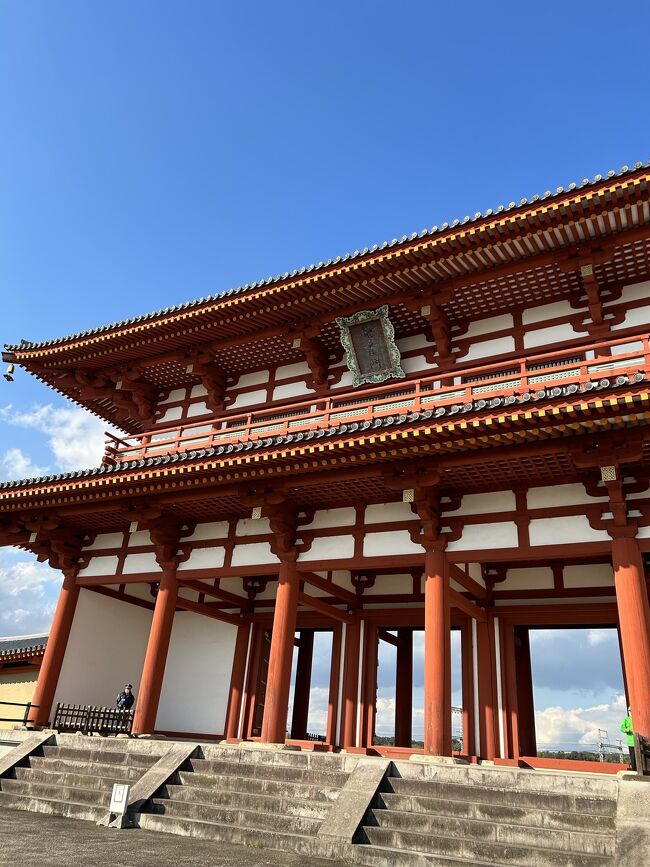 昨年11月に旅行した奈良が楽しかったので、今年も一人で旅してみました。<br />紅葉はまだ少し早かったのですが、一人でのんびり行きたいところを観光出来、とても良い旅となりました。<br /><br />1日目、興福寺～平城京跡の旅行記です。